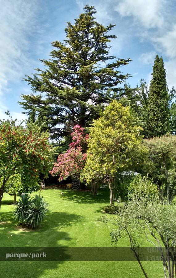 Bed and Breakfast Quinta Ugarte Lujan de Cuyo Exterior foto