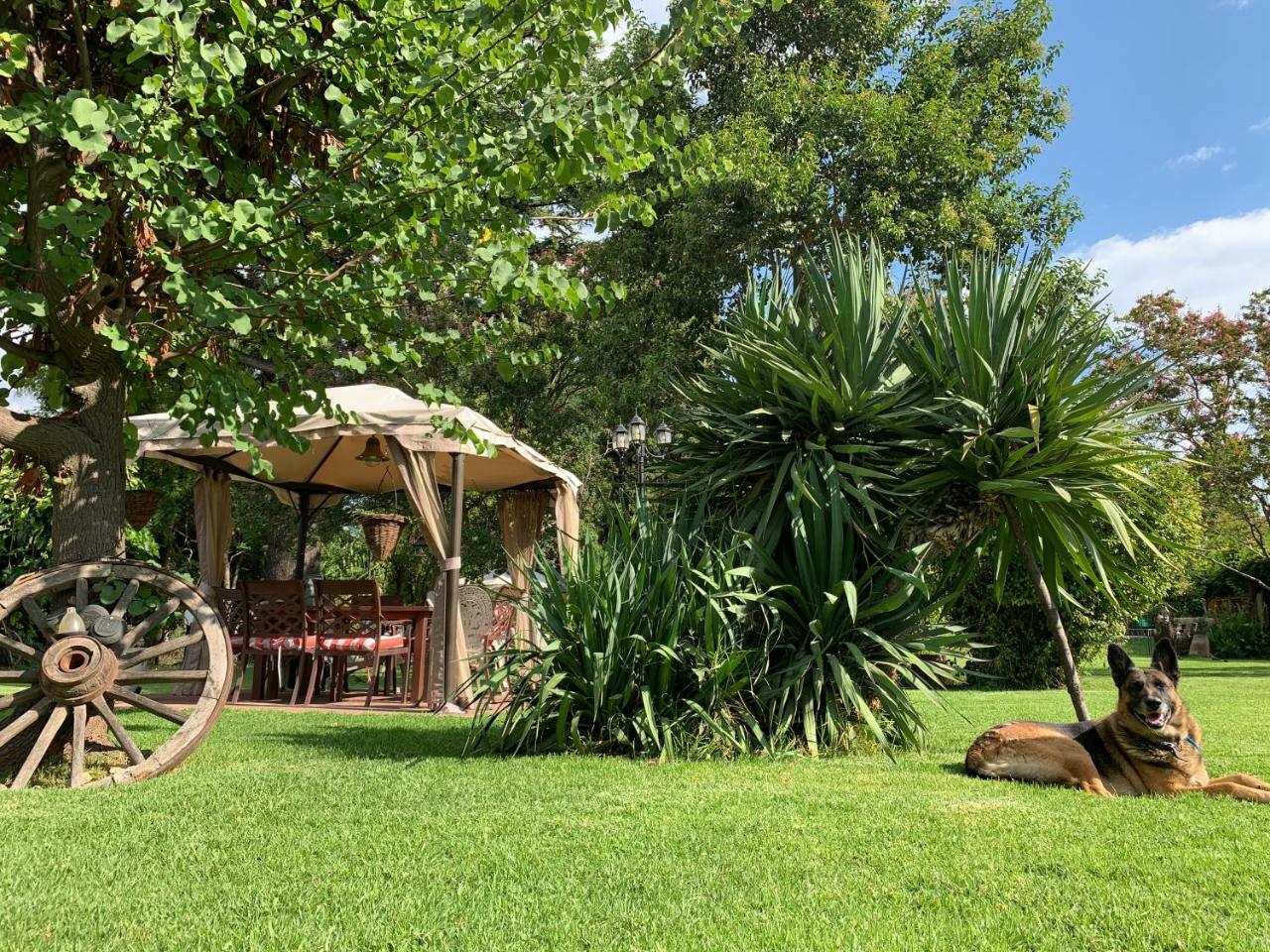 Bed and Breakfast Quinta Ugarte Lujan de Cuyo Exterior foto